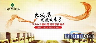 大格局成就大未来 2016北疆硅藻泥春季招商峰会圆满落幕，开启环保家居新篇章