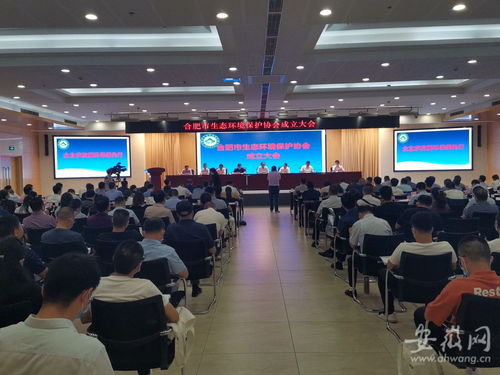 合肥市生态环境保护协会成立，环保咨询服务迎来崭新篇章